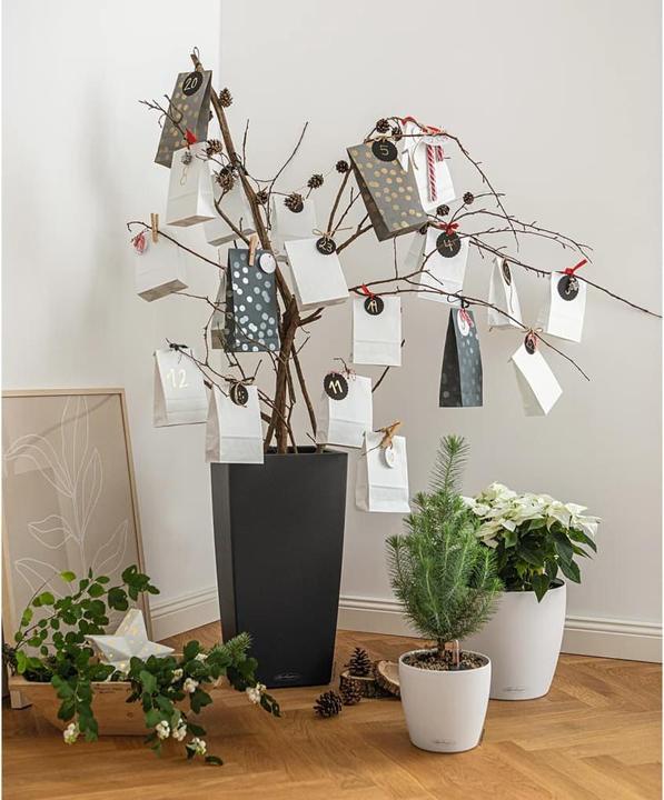 Actual product image Lechuza cubico (39.50 cm)