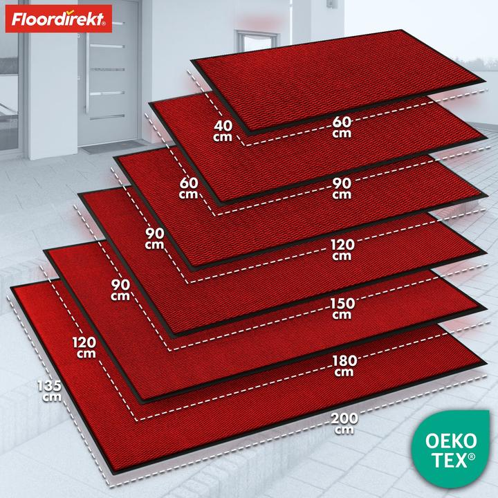 Produktbild Floordirekt Schmutzfangmatte SKY Novo (90 x 150 cm)
