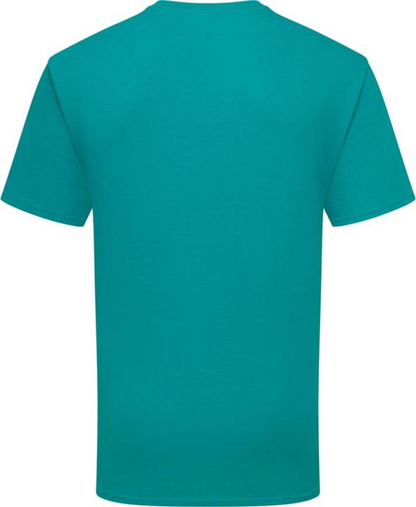 Actual product image Fruit of the Loom Mens Iconic 195 Ringspun Premium Tshirt (L)