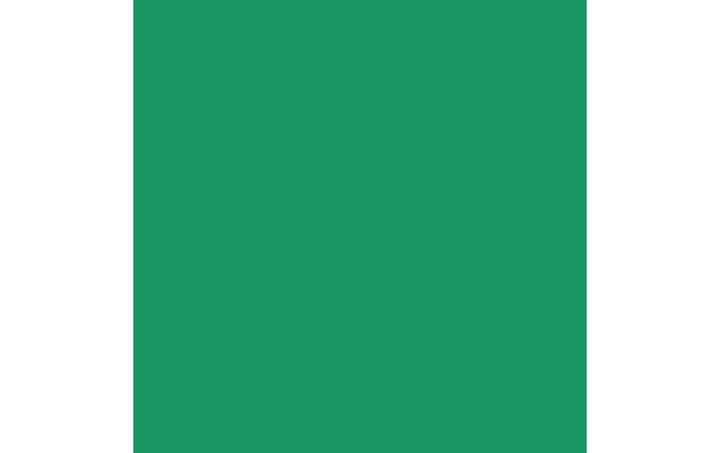 Produktbild Amsterdam Acrylfarbe Standard Series 615 (Paul Veronesegrün, 120 ml)