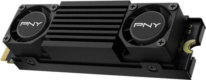 Actual product image PNY CS3150 (2000 GB, M.2 2280)