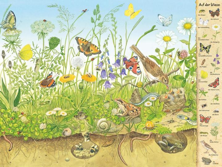 Immagine prodotto Das Riesen-Natur-Wimmelbuch (Tedesco, Christine Henkel, 2018)