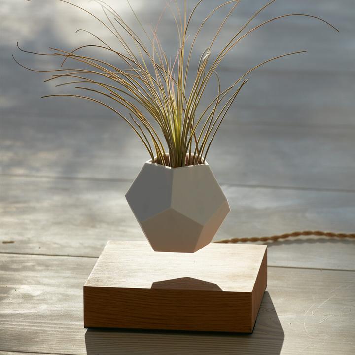 Produktbild Flyte LYFE Planter (154 cm)