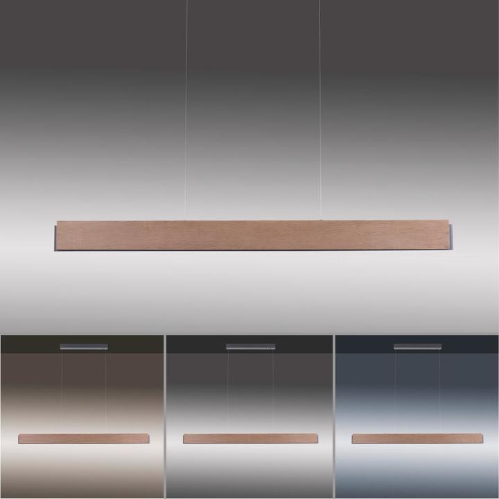 Produktbild Paul Neuhaus Palma (2000 lm)