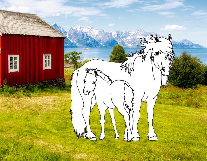 Image du produit Livre de coloriage Chevaux de rêve : Plage & mer