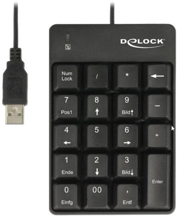 Actual product image Delock 12481 (Numeric keypad, Cable)