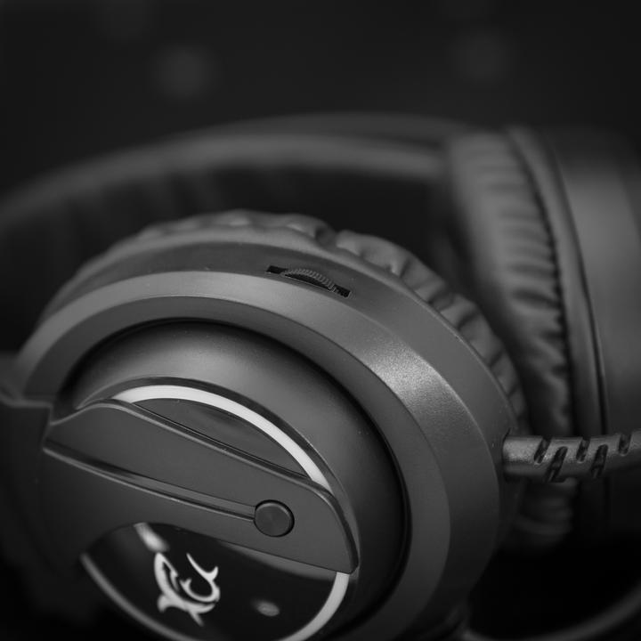 Immagine prodotto White Shark WOLF GH-2044 (Cablato)