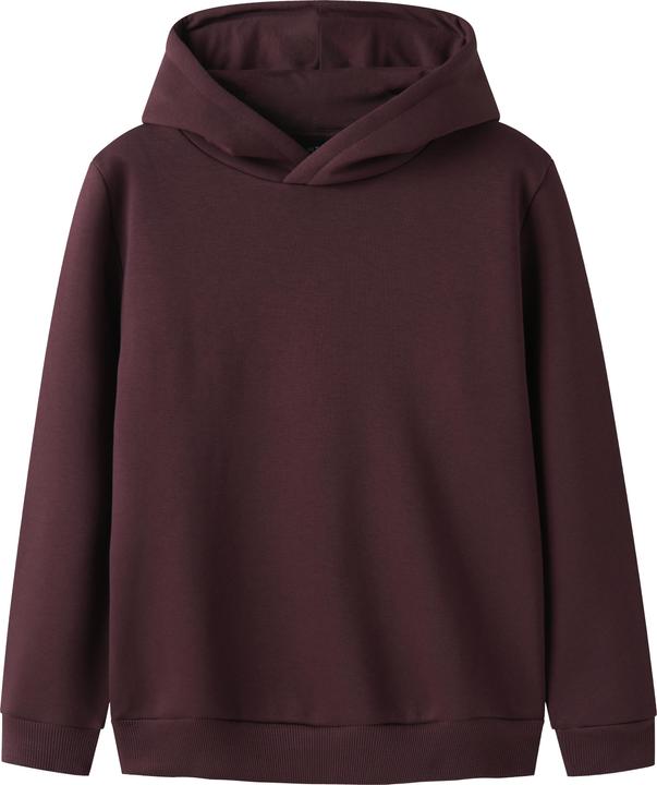 Lmtd Loose Fit Hoodie