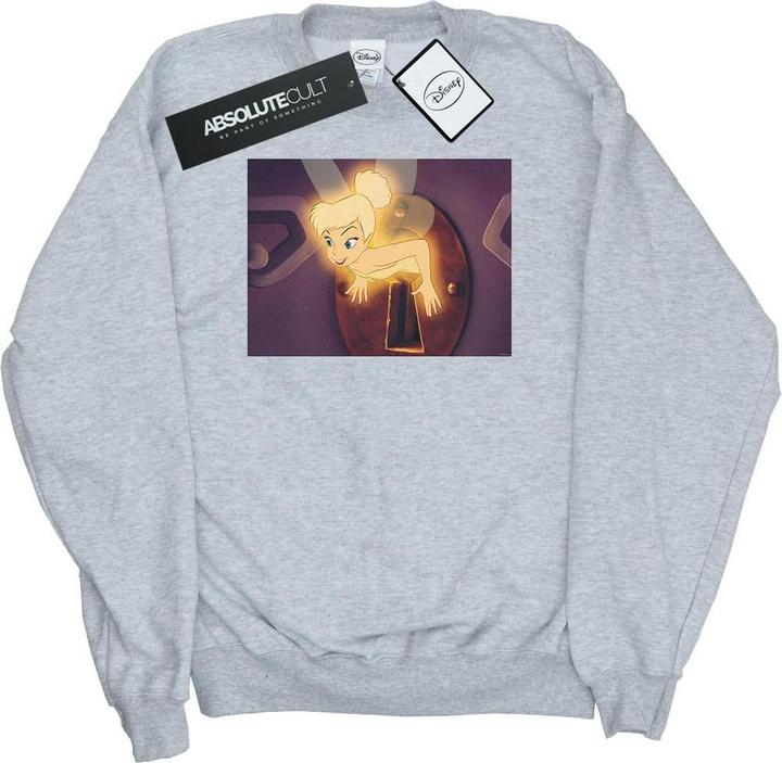 Image du produit Disney - Sweat TINKER BELL LOCK SQUEEZE - Homme (5XL)