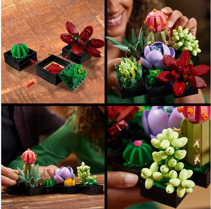 Actual product image LEGO Succulents (10309, LEGO Botanical, LEGO Rare Sets)