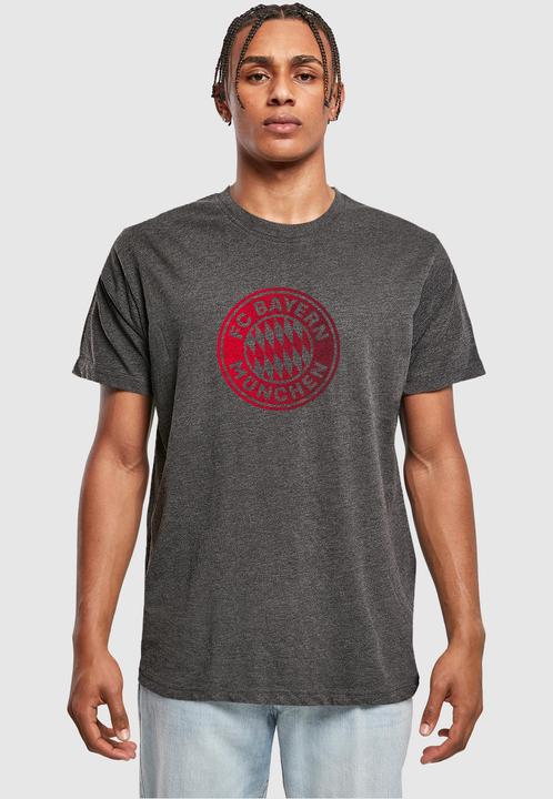 Actual product image FC Bayern München Logo GR T-Shirt Round Neck - 115339 (XXL)