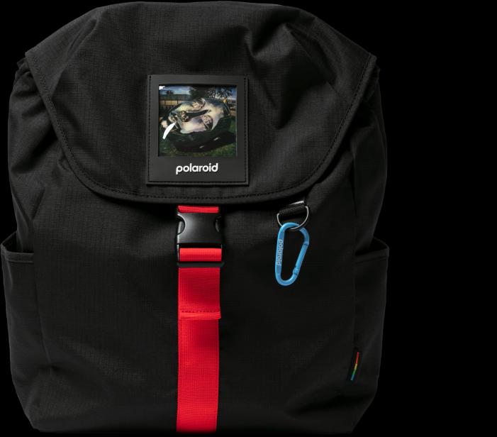 Actual product image Polaroid Backpacks (Photo backpack, 25 l)