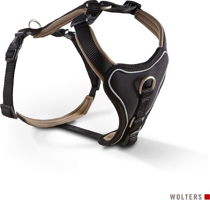 Collar + Leashes