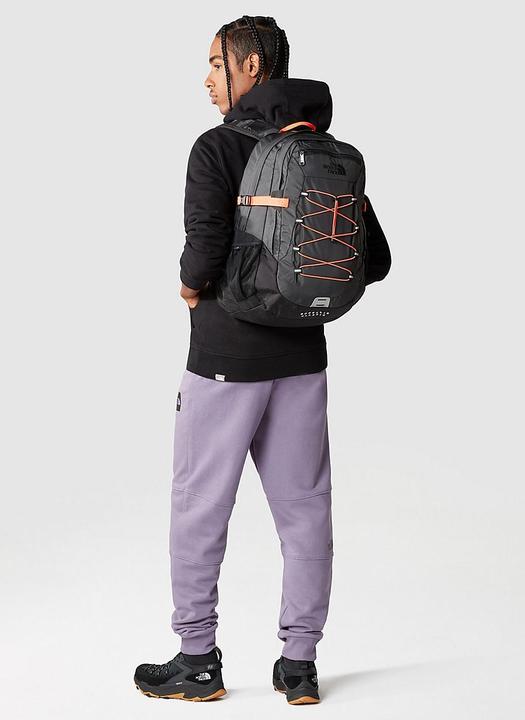 Actual product image North Face Borealis Classic (29 l)