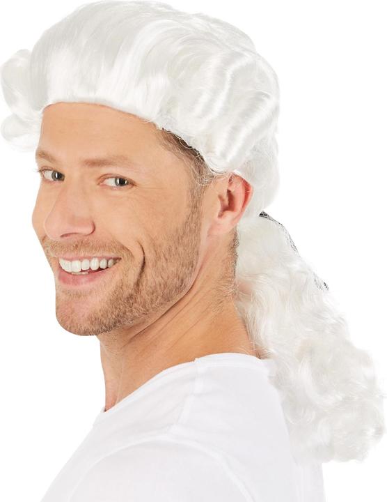 Image du produit Dressforfun Perruque pour homme marquis baroque