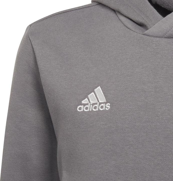 Actual product image adidas Entrada 22 hoodie kids (140)