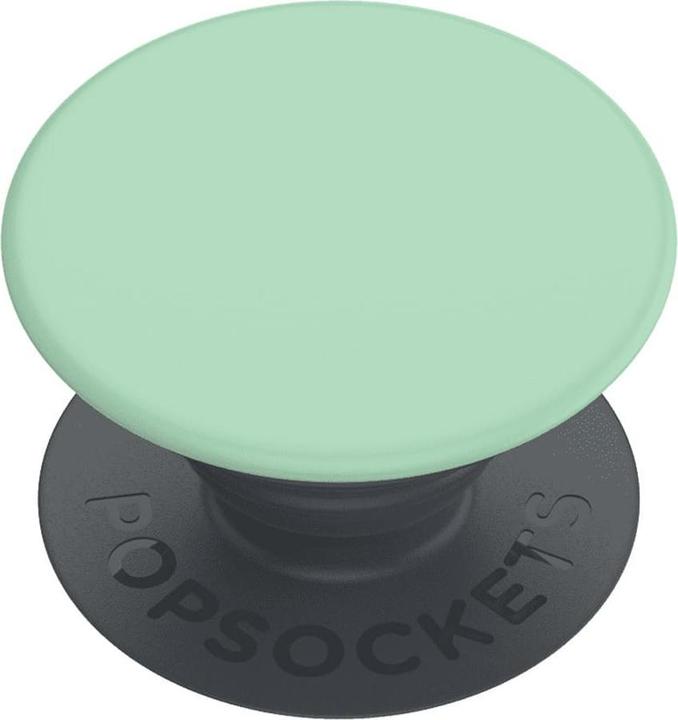 Pastel Mint
