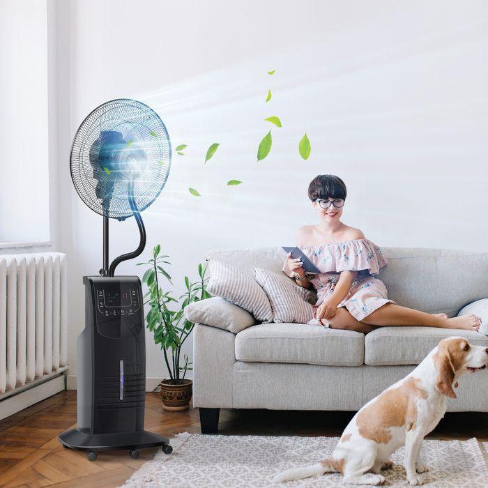 Actual product image Jamb Pedestal fan with atomizer