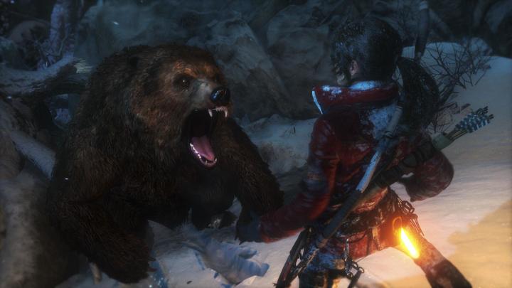 Actual product image Square Enix Rise of the Tomb Raider (PS4, DE)