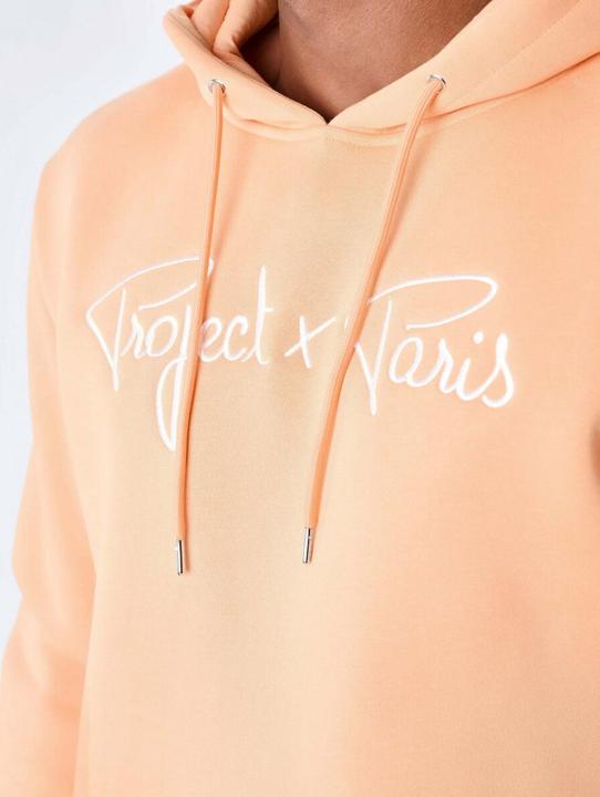 Actual product image Project X Paris essentials hoodie (M)