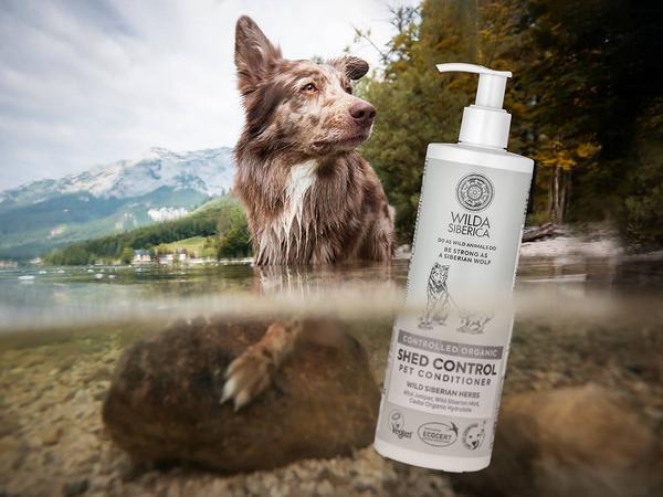 Actual product image Wilda Siberica shampooing SHED CONTROL, 5 l (5000 ml, Liquid shampoo)