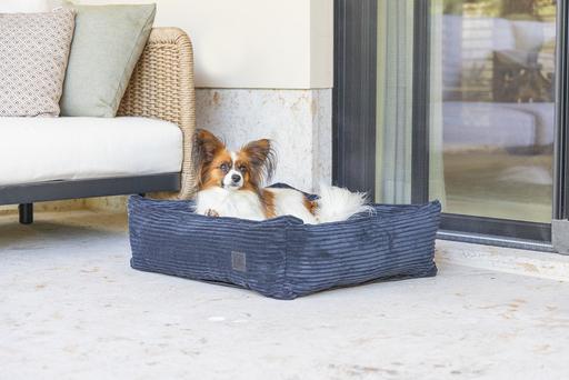 Produktbild Designed by Lotte Ribbed (Hund)