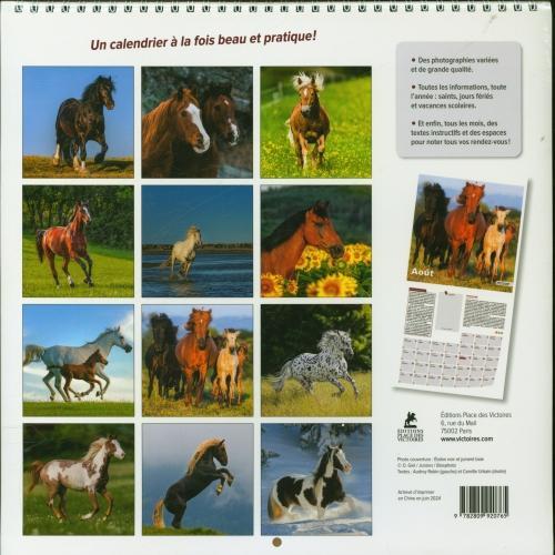 Produktbild Chevaux : calendrier 2025 (Harter Einband, Französisch)