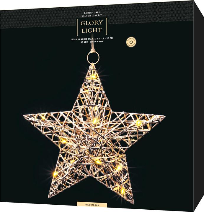 Actual product image STT Hanging star