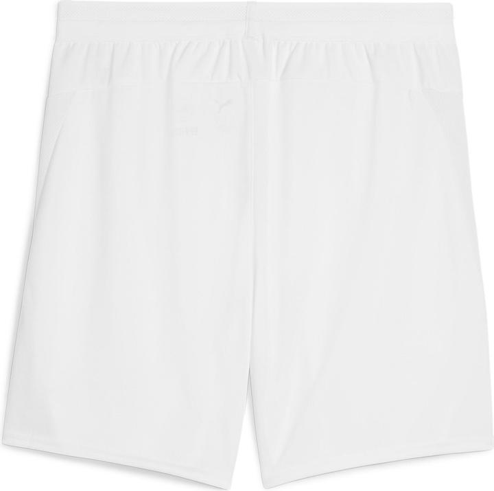 Actual product image Puma teamCUP Shorts (L)