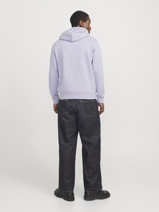 Actual product image Jack & Jones Logo hooded jumper Hooded jumper (XL)