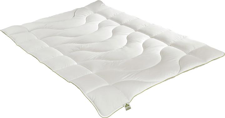 Image du produit Irisette Greenline Greenline Cycafill ECO léger (400 g, 200 x 200 cm)
