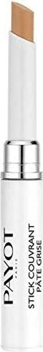 Produktbild Payot Paris Pâte Grise Duo purifying concealing pen