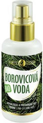 Actual product image Purity Vision - Organic Pine Water - 100ml (100 ml)
