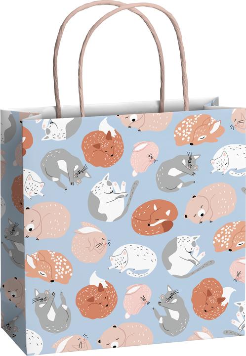 Immagine prodotto Stewo Geschenktragetasche Baby 3ST sortiert (Scatola da regalo, 3 x)