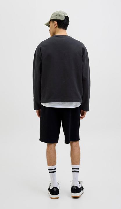 Image du produit Jack & Jones Jordia Sweat Crew Neck Ss25 (S)