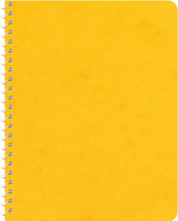 Produktbild Novooo Spiralheft assortiert (91 x 121 mm, Kariert)