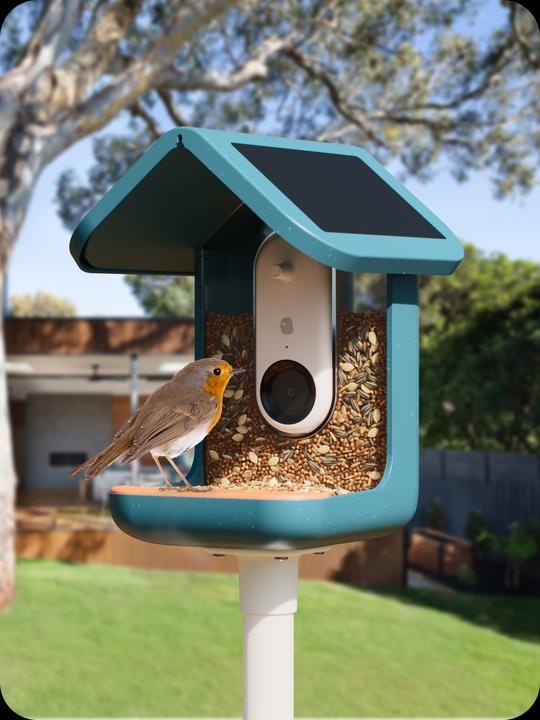 Actual product image Bird Buddy Food dispenser