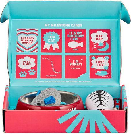 Produktbild Geschenkidee Katzen Starter-Kit