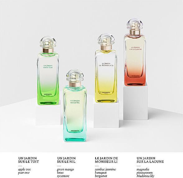 Actual product image Hermès Un Jardin sur le Nile (Eau de toilette, 100 ml)