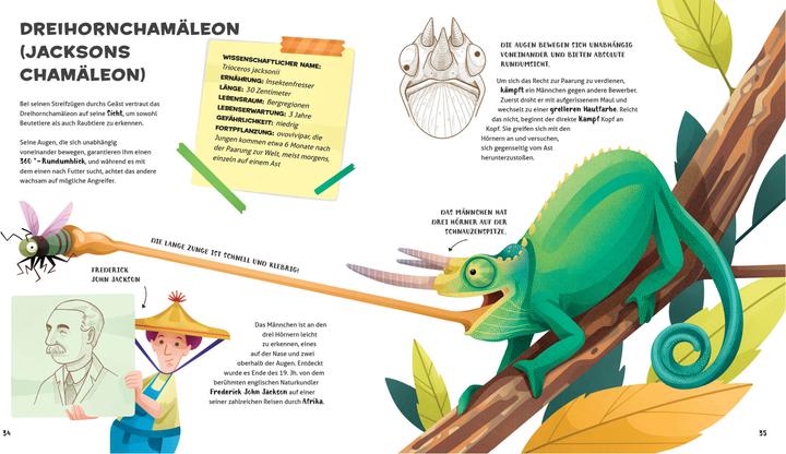 Actual product image National Geographic Besonders und wunderbar: Reptilien (German, Cristina Banfi, Claudia Theis-Passaro, 2021)