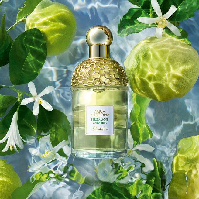 Image du produit Guerlain Aqua Allegoria Bergamote Calabria (Eau de toilette, 75 ml)