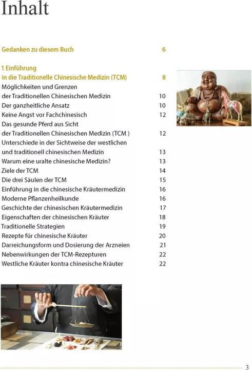 Produktbild Akupunktur beim Pferd (Deutsch, Ina Gösmeier, 2022)