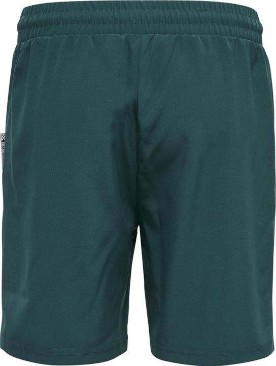 Actual product image hummel Hmlmove Grid Woven Shorts Kids (152)