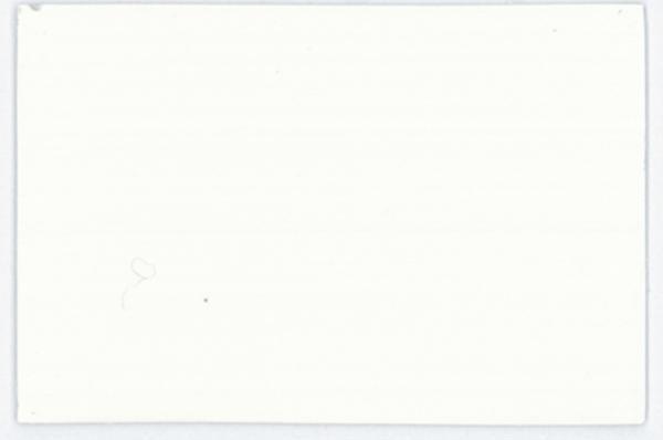 Immagine prodotto Lascaux Pittura acrilica Studio (Cozze bianco, 250 ml)