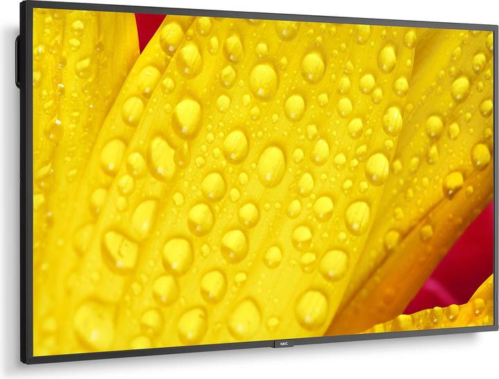 NEC MultiSync ME501 large format monitor 50 inch UHD 400cd (3840 x 2160 Pixels, 50")