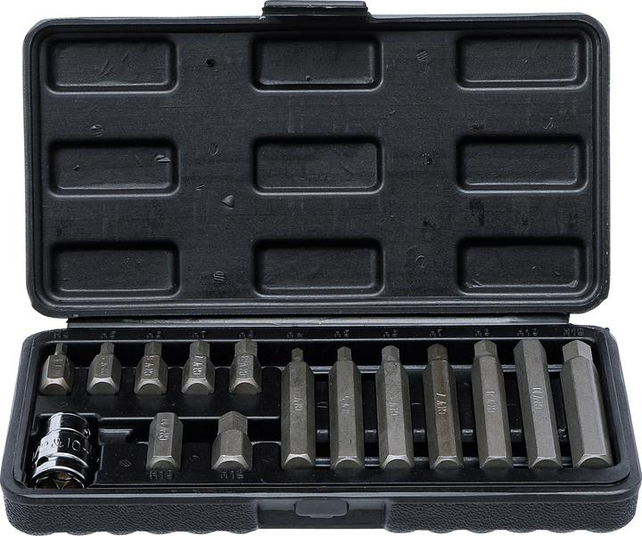 BGS Bit Set 10 mm (3/8") Drive internal Hexagon 15 pcs. (10mm)