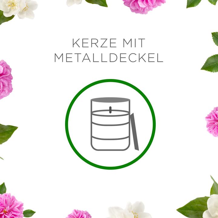 Produktbild Air Wick Grosse Duftkerze Beruhigende Wildrose & Jasmin (310 g)