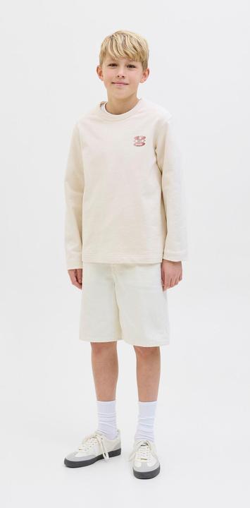 Actual product image Jack & Jones Loose Fit Shorts Junior Shorts (128)