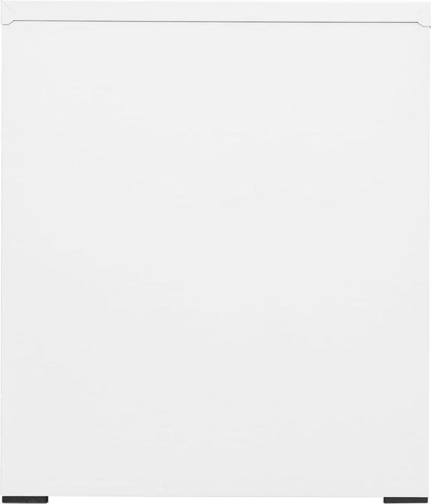 Immagine prodotto VidaXL Manfred (46 x 62 x 72,5 cm)