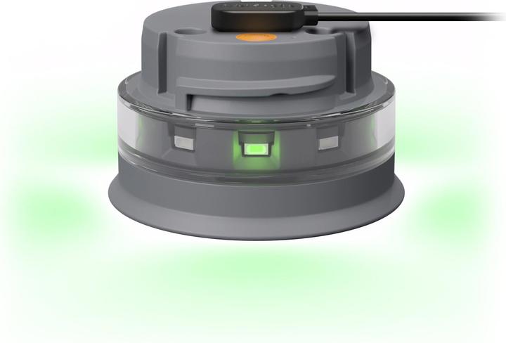 Actual product image HidrateSpark Steel 21 (0.60 l)
